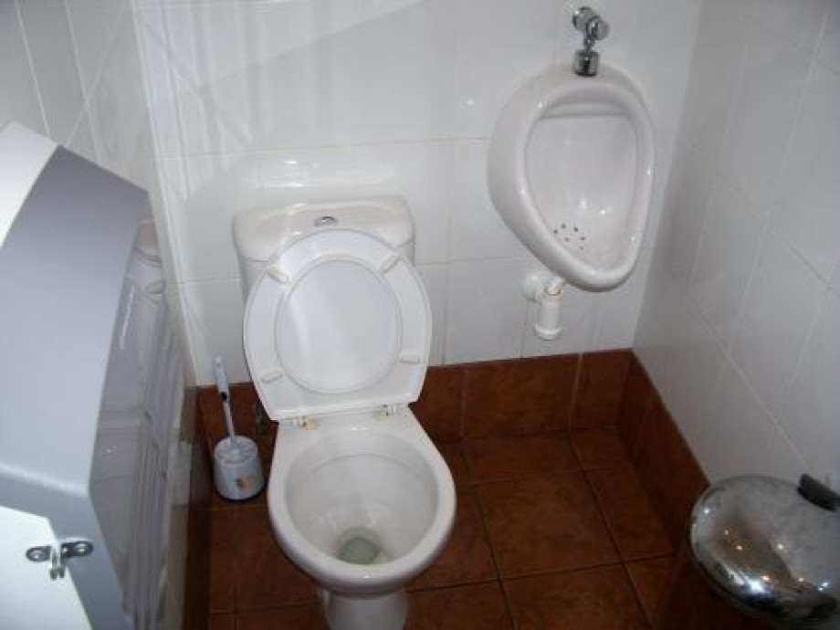 Туалет в "Теремке" на Лиговском. Изображение 1